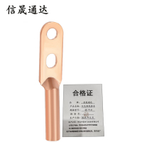 信晟通达 双孔铜线鼻子 25平方 个