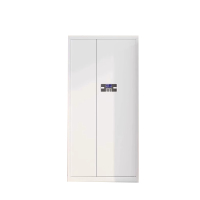 菲尔阿扎 PHIL ARZA 保密柜 通体/台