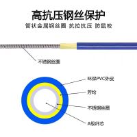 光为视讯 铠装单模单芯尾纤 FC-FC15米 根