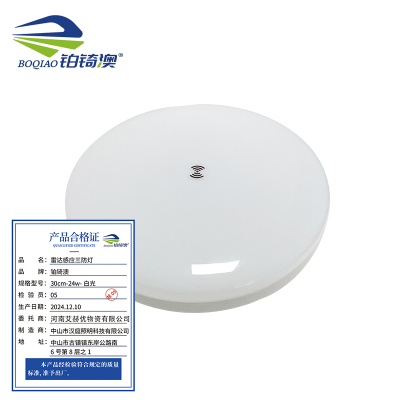 铂锜澳雷达感应三防灯个