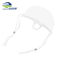 铂锜澳 透明口罩/10个/盒