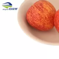 铂锜澳 白色陶瓷斗碗10个装/件