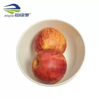 铂锜澳 白色陶瓷护边碗10个装/件