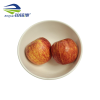 铂锜澳 白色陶瓷碗10个装/件