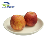 铂锜澳 圆形陶瓷深盘5个装/14寸-35cm/件