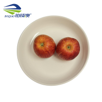 铂锜澳 白色陶瓷深盘5个装/件