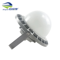 铂锜澳 三防平台灯 290*230mm-100w 个