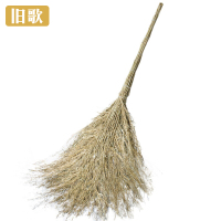 旧歌 大扫帚 3.6斤 个