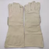 鑫永安 长帆布手套 均码 双