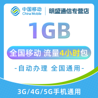 中国移动 全国移动流量 1GB 全国3G/4G/5G通用流量无法提速 4小时有效