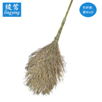 绫莺扫把竹杆带叶4斤YH602/把