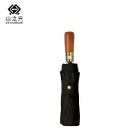 山之只 遮阳伞全自动折叠伞 黑色12骨 把