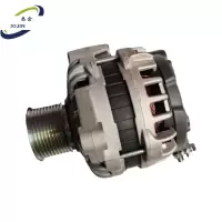 悉金 发电机总成 XJ - WP-FDJ 个