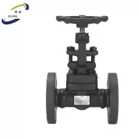 悉金 高温阀 XJ - DN100 个