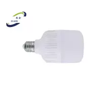 悉金 LED灯泡 XJ-200W 个