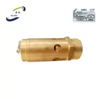 悉金 弹簧式安全阀 XJ - BRV9508-T275-NT4 个