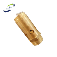 悉金 金属安全阀 XJ - KHR-1 个