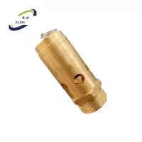 悉金 金属安全阀 XJ - KHR-1 个