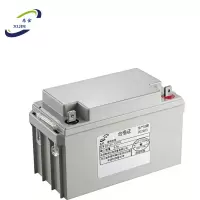 悉金 维修电瓶 NPL65-12HFR 块