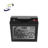 悉金 维修电瓶 XJ -NPG12-12Ah 块
