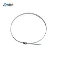 福佳琦 不锈钢宽扎带 19*200mm/条