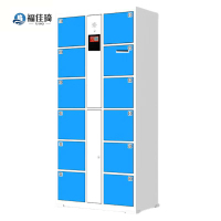 福佳琦 存放柜 主柜12门/个