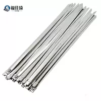 福佳琦 尼龙扎带3*100国标2.5mm宽 根