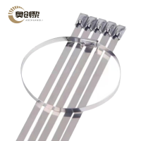 奥创黎 不锈钢自锁式扎带12*600包