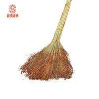 思琪思博高粱扫把SB-0263/个