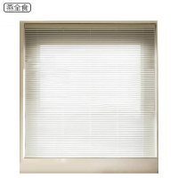 燕全食 铝合金百叶帘 YQS-JL008/米