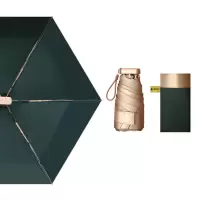 turmn晴雨伞T42/把