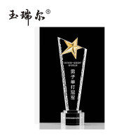 玉瑞尔水晶奖杯(定制)230mm*70mm个