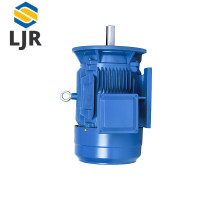 利冀尔 维修电机 LJE - YE3-132M2 个