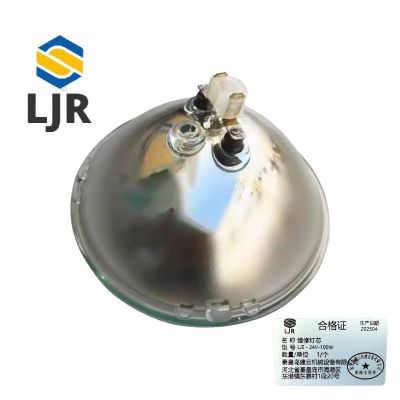 利冀尔 维修灯芯 LJE - 24V-100W 个