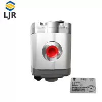 利冀尔 齿轮泵 LJE - A780001 个