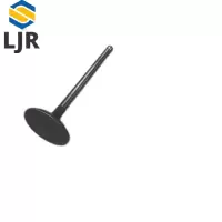 利冀尔 进排气阀 LJE - GX系列通用 个