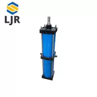 利冀尔 气缸 250*700-TC 个