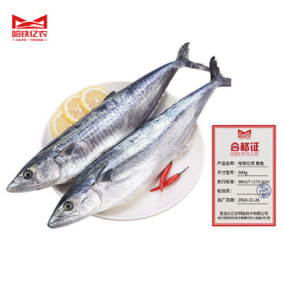 哈铁亿农 鲅鱼 500g/斤