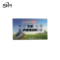 斯赞 双面提示卡片贴 SZ2411182A 张