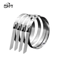 斯赞 304不锈钢扎带自锁式捆绑扎带 10*300mm 100条/包