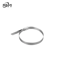 斯赞 304不锈钢扎带 10*800mm 根