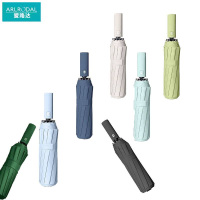 爱路达 雨伞双龙骨12骨YS085/把