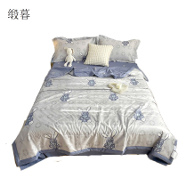缎暮 A类纯棉印花新疆棉花被空调夏被舒睡夏凉被 多款可选 180*200CM/3斤 条