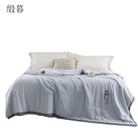 缎暮 A类原棉夏被空调被子夏凉被 多款可选 200*230CM/3斤 条