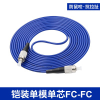 荣炬光铠装尾纤FC-FC(5米)