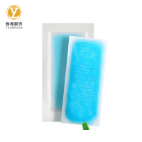 雅霖服 降温冰凉贴 10小袋20片/包