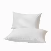 浩博时代 纯棉枕套 60*90CM 只