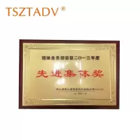TSZTADV奖牌 50cm*35cm块