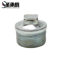 圣承启 外丝堵盖 DN15 4分带边 个