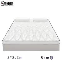 圣承启 防滑床垫 2*2.2m张